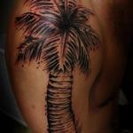 Tattoos - Palm Tree - 124858